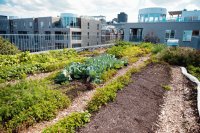 Urban Farming with Rooftop Greenhouses: A Path to Sustainable Food Security